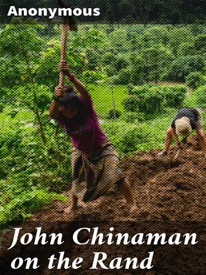 cover image of John Chinaman on the Rand